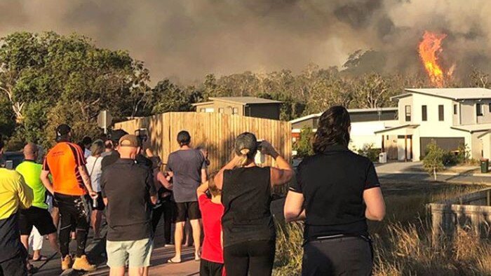 A crowd of residents in a street watch a bushfire raging behind Peregian Springs.