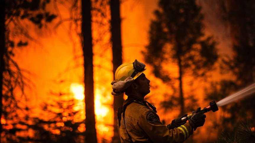 Sacramento Metropolitan firefighter Matt Owston works the Rim Fire line near Camp Mather, California, August 26, 2013. The fire has burned 74,843 hectares on the northwest side of Yosemite National Park.