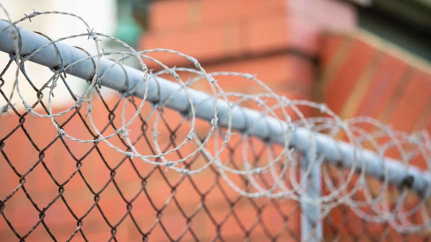 Barbed wire is coiled around the top of a chain-link fence.