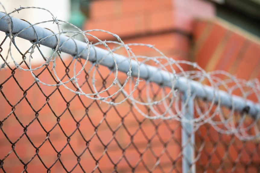 Barbed wire is coiled around the top of a chain-link fence.