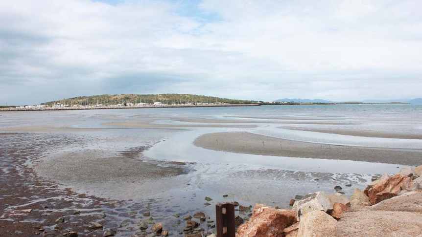 Low tide at the beach in Bowen