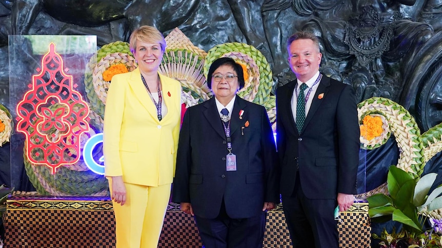 Tanya Plibersek and Chris Bowen at G20 Environment and Climate Ministers Meeting