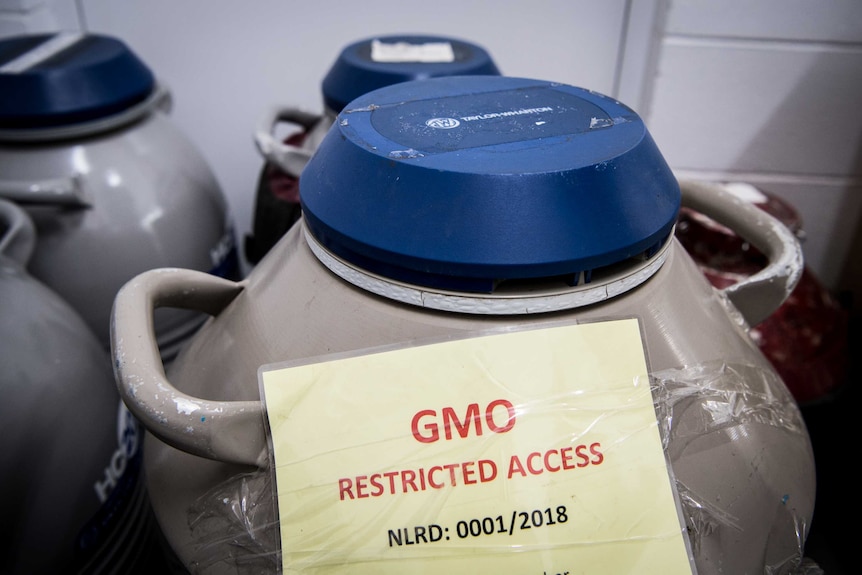 A big tub with a GMO, restricted access sign on it