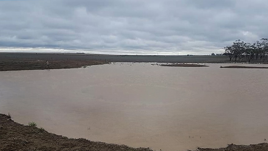 Sandy Stewart's farm dam Feb 5, 2020