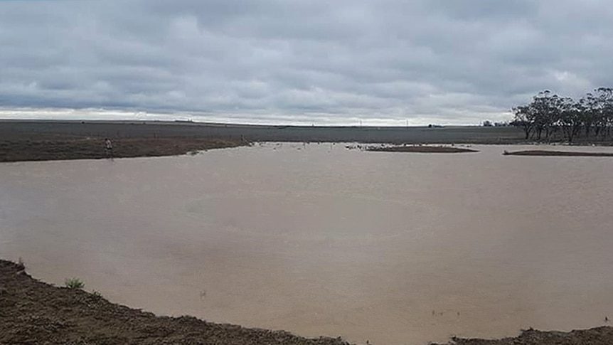 An overflowing farm dam