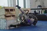 A robot falls over in an obstacle course.