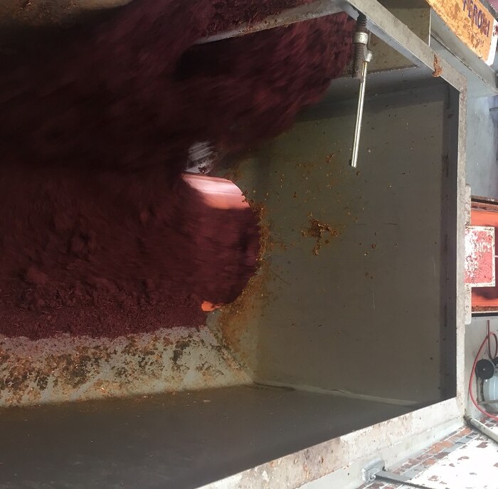 An orange chute leads into a square steel tub in a food processing factory.