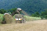 A cane harvester and haul out truck work in tandem in a cane field, south of Cairns