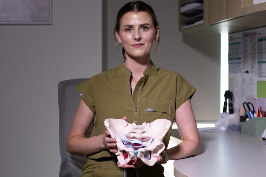 Physiotherapist stands holding model pelvis