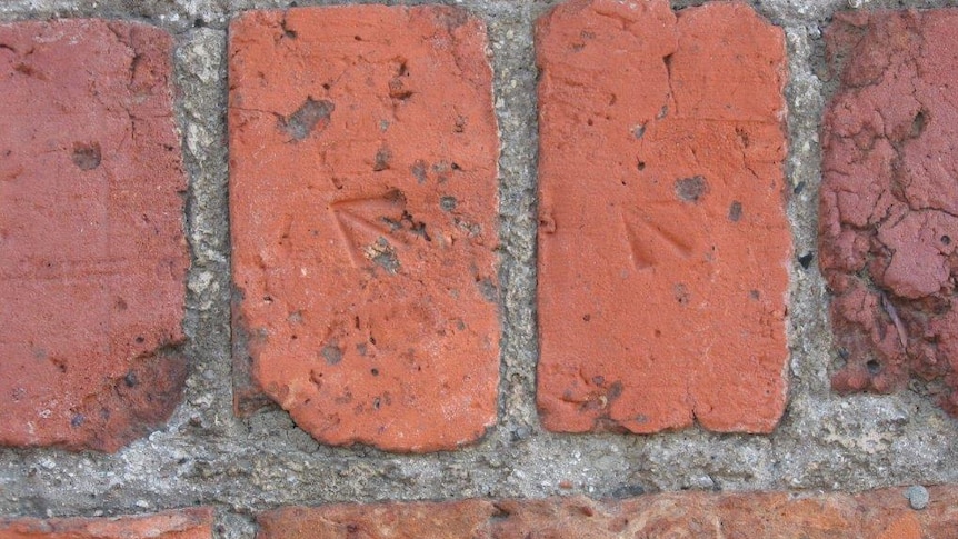 The broad arrows on convict bricks in a wall in Hobart between 1830-1840.
