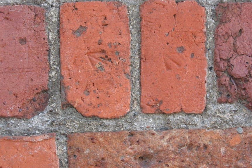 The broad arrows on convict bricks in a wall in Hobart between 1830-1840.