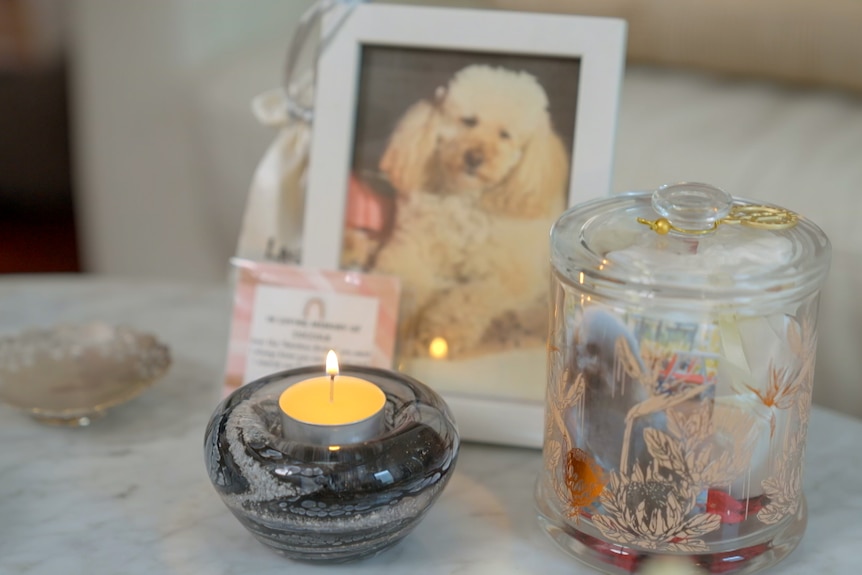 A candle, photo of a dog and other mementos on a table. 