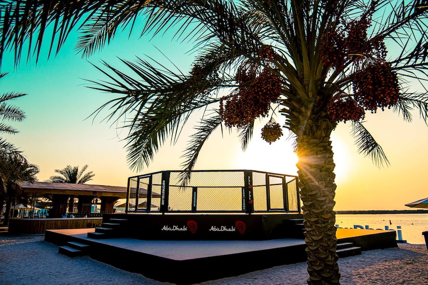 The sun sets on a UFC octagon on Yas Beach in Abu Dhabi. A palm tree is in the foreground.