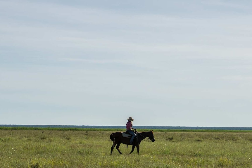 A lone horsewoman surveys the paddocks at Newcastle Waters Station.