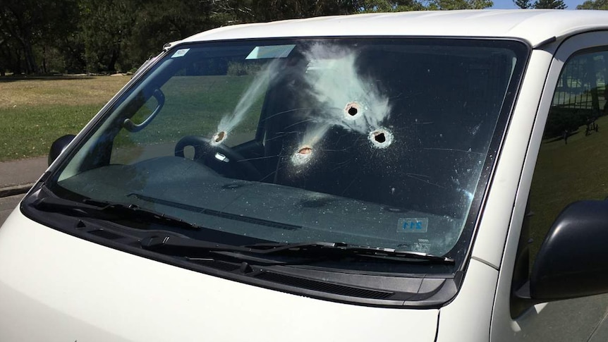 A windscreen with several holes in it.