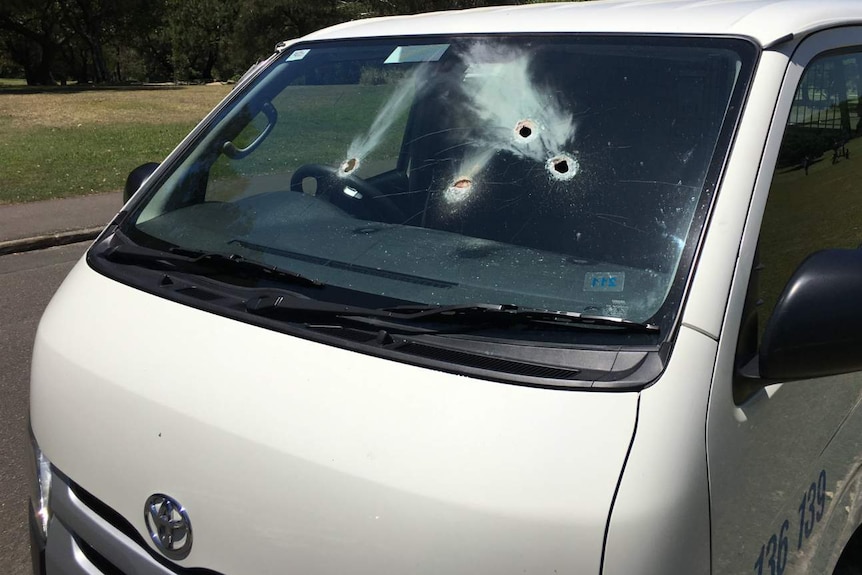 A windscreen with several holes in it.