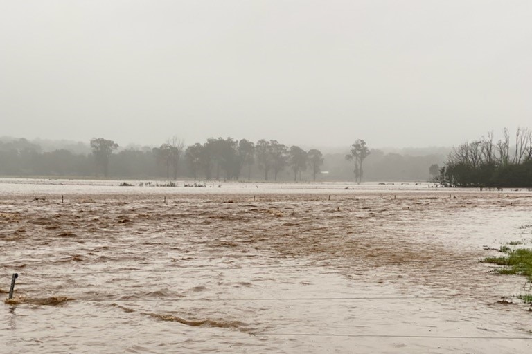 A paddock inundated with muddy water.