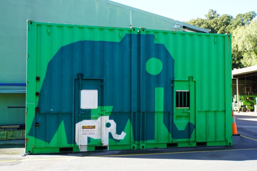 A picture of an elephant transport crate with an elephant logo on the side. 