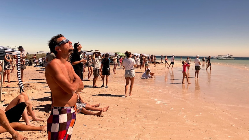 A crowd of people standing on a beach and staring up at the sky.