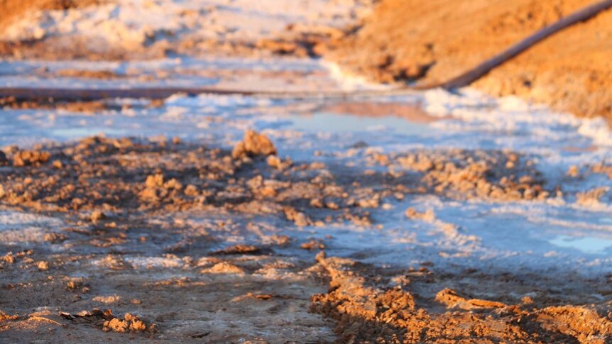 Close up  mixture of dirt and white salt in a lake.