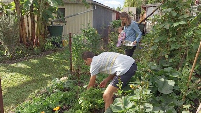 Little Inventions - Gardening Australia