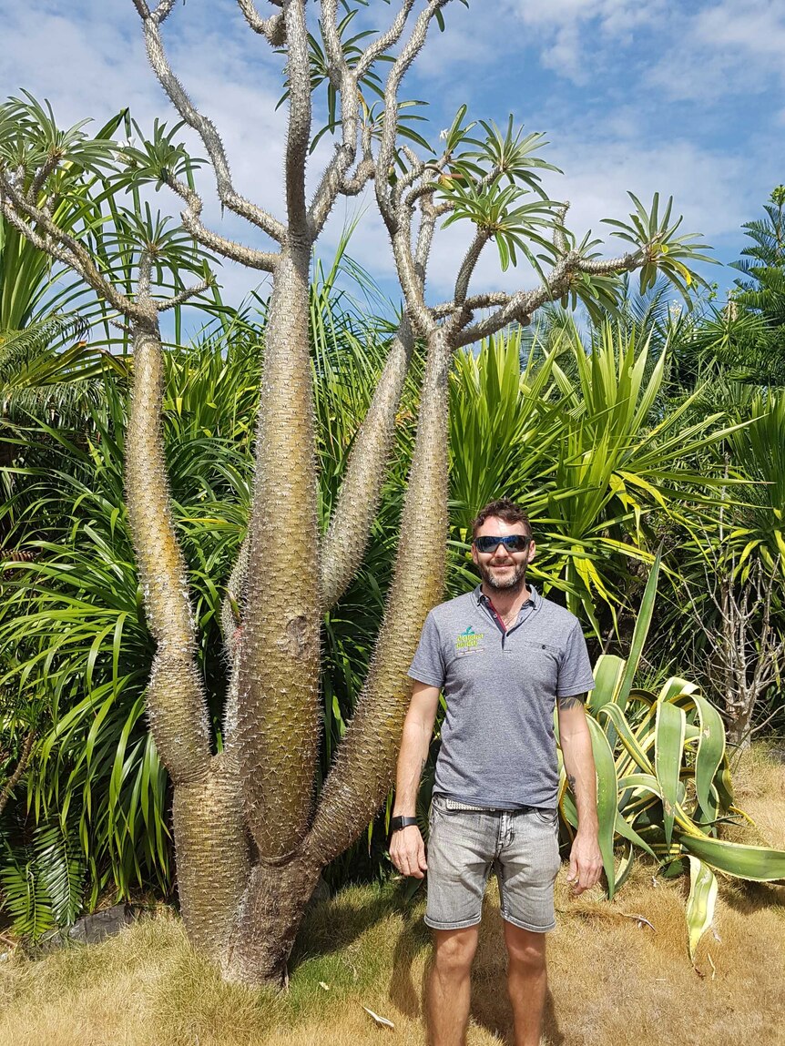A man stands in front of a large spiked plant in a prehistoric garden in Cairns.
