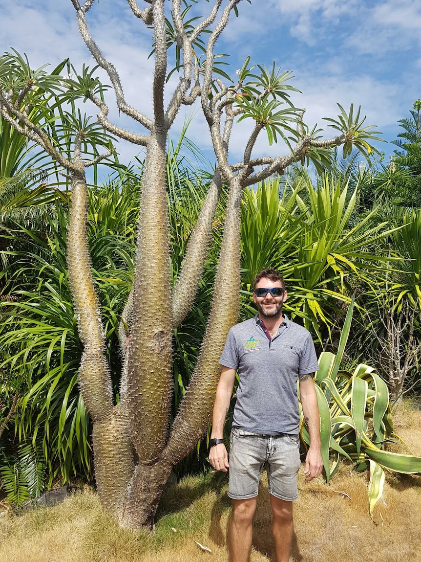 A man stands in front of a large spiked plant in a prehistoric garden in Cairns.