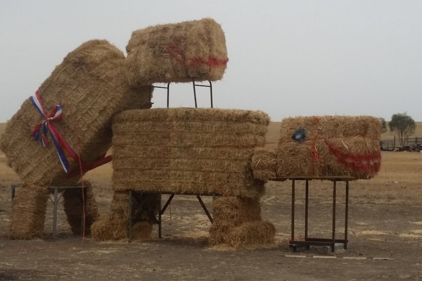 The bonking bales, hay bale art depicting cows mating in Lake Charm, Victoria