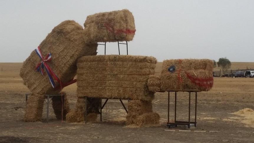 The bonking bales, hay bale art depicting cows mating in Lake Charm, Victoria