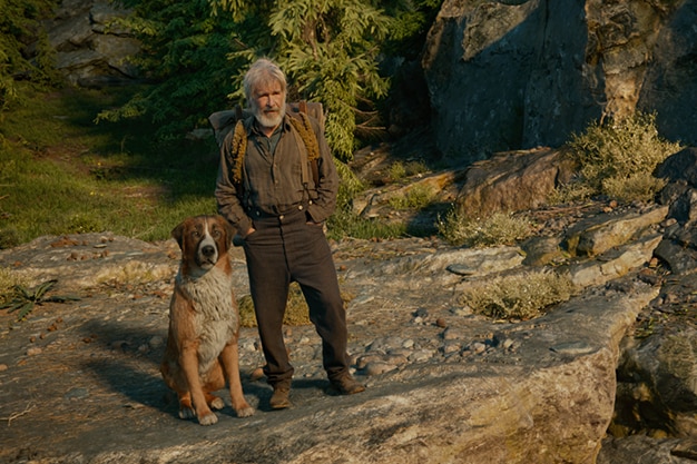 A man with unkempt grey hair, beard and bag stands with large St. Bernard/Scotch Collie dog on lush rock face.