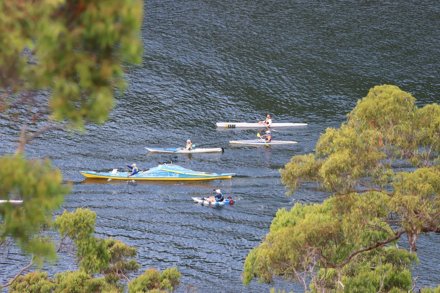 A group of kayakers on the water.