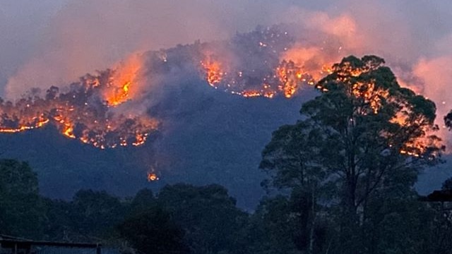Fires burn through vegetation on a hill surrounded by a dark blue sky.