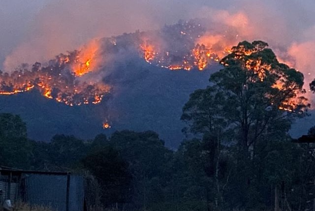 Fires burn through vegetation on a hill surrounded by a dark blue sky.