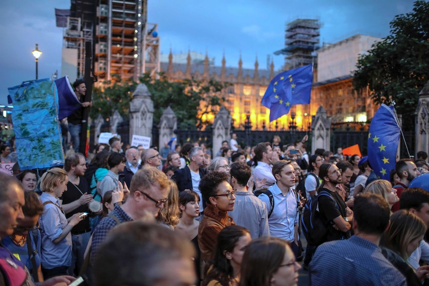 Anti-Brexit supporters take part in a protest in front of the Houses of Parliament in central London.