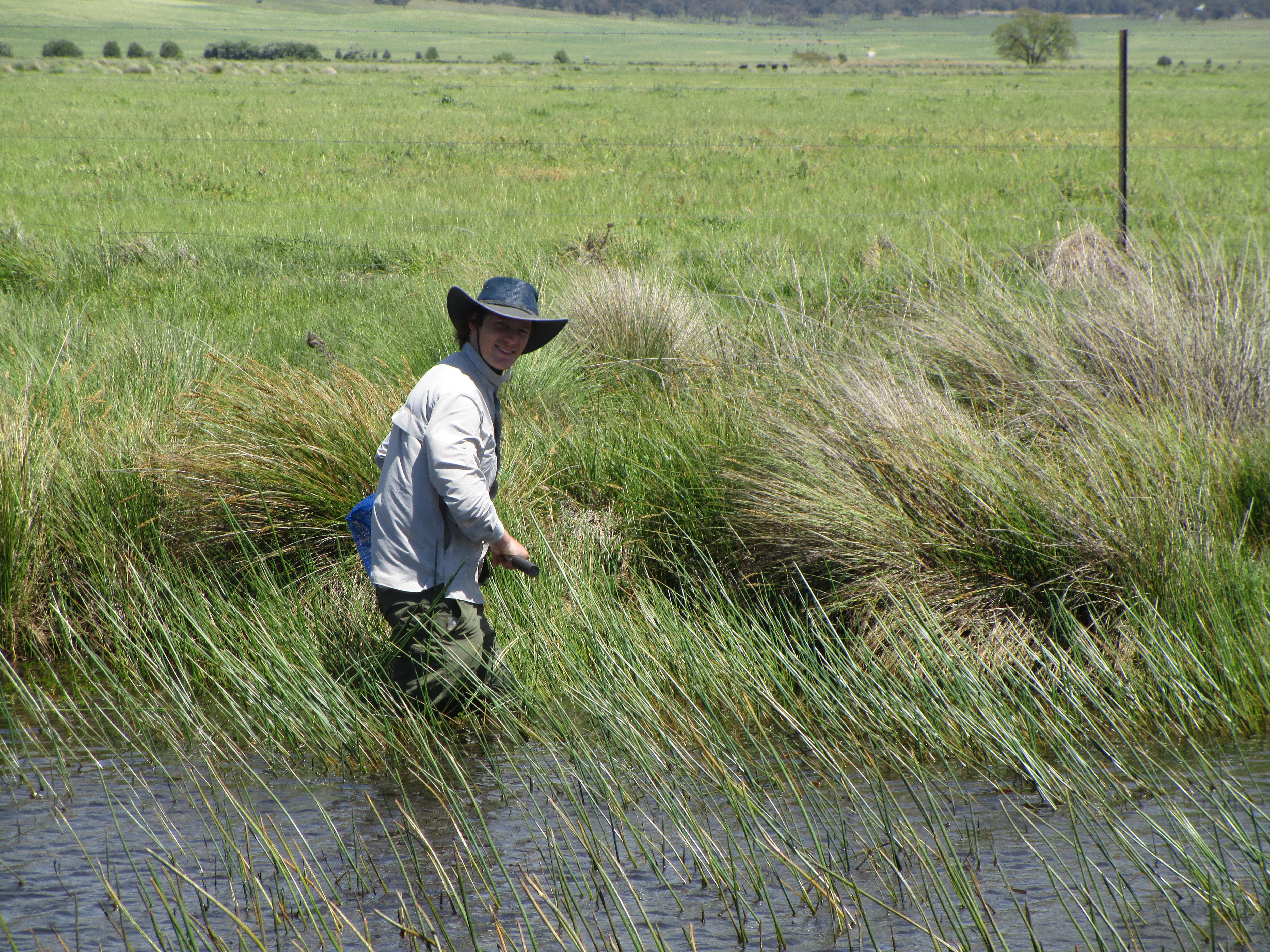A man in bush attire and a hat stands among tall grass in a paddock.