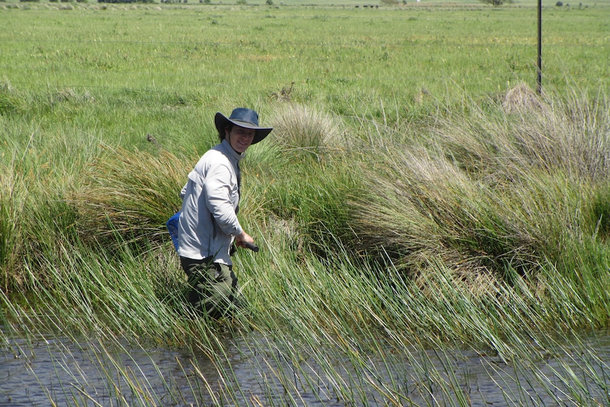 A man in bush attire and a hat stands among tall grass in a paddock.