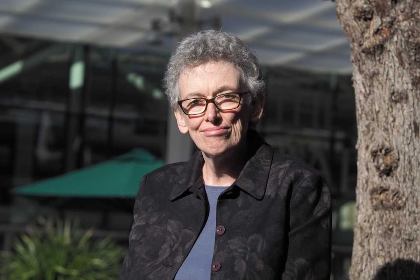SA Budget Professor Carol Johnson, University of Adelaide Politics