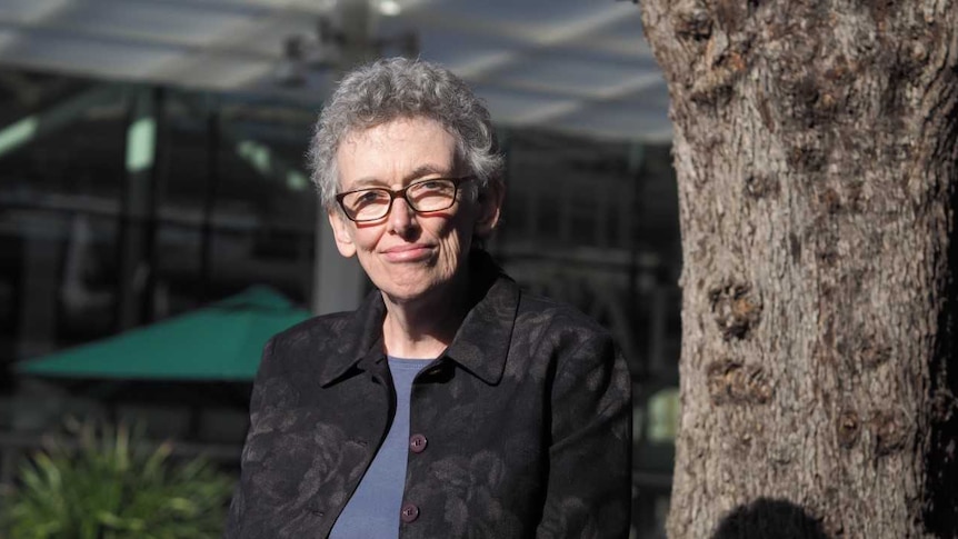 SA Budget Professor Carol Johnson, University of Adelaide Politics