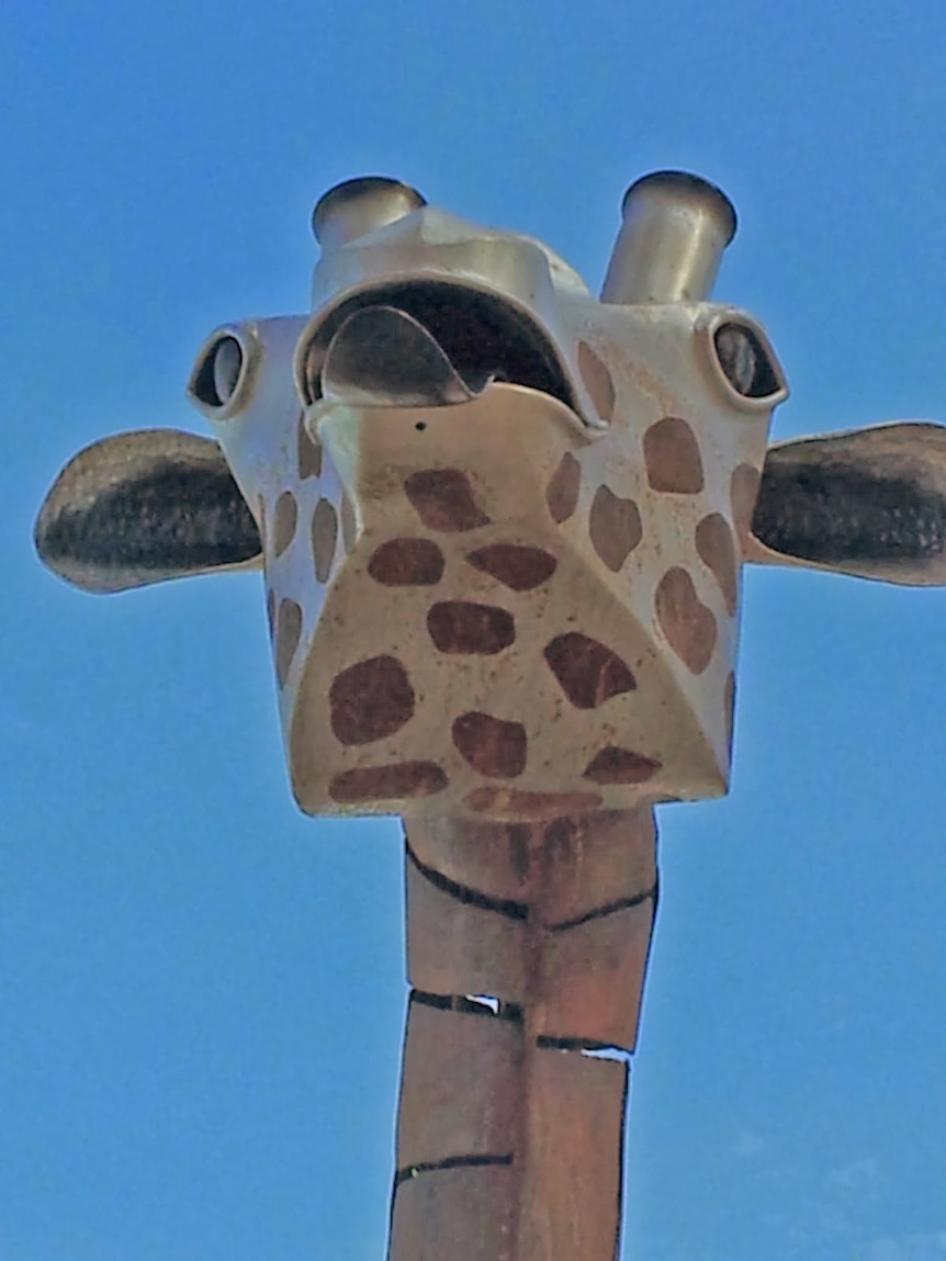 Gene the giraffe