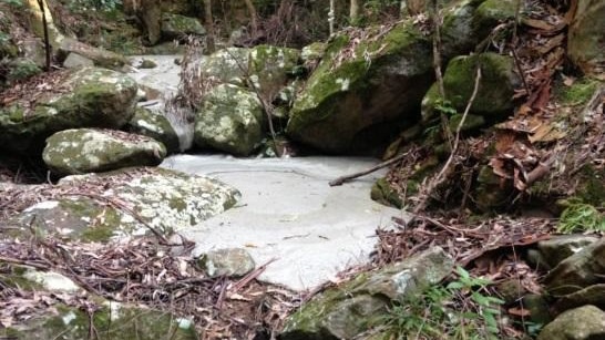 A river of cement in the Sugarloaf State Conservation Area after a botched grouting spill.