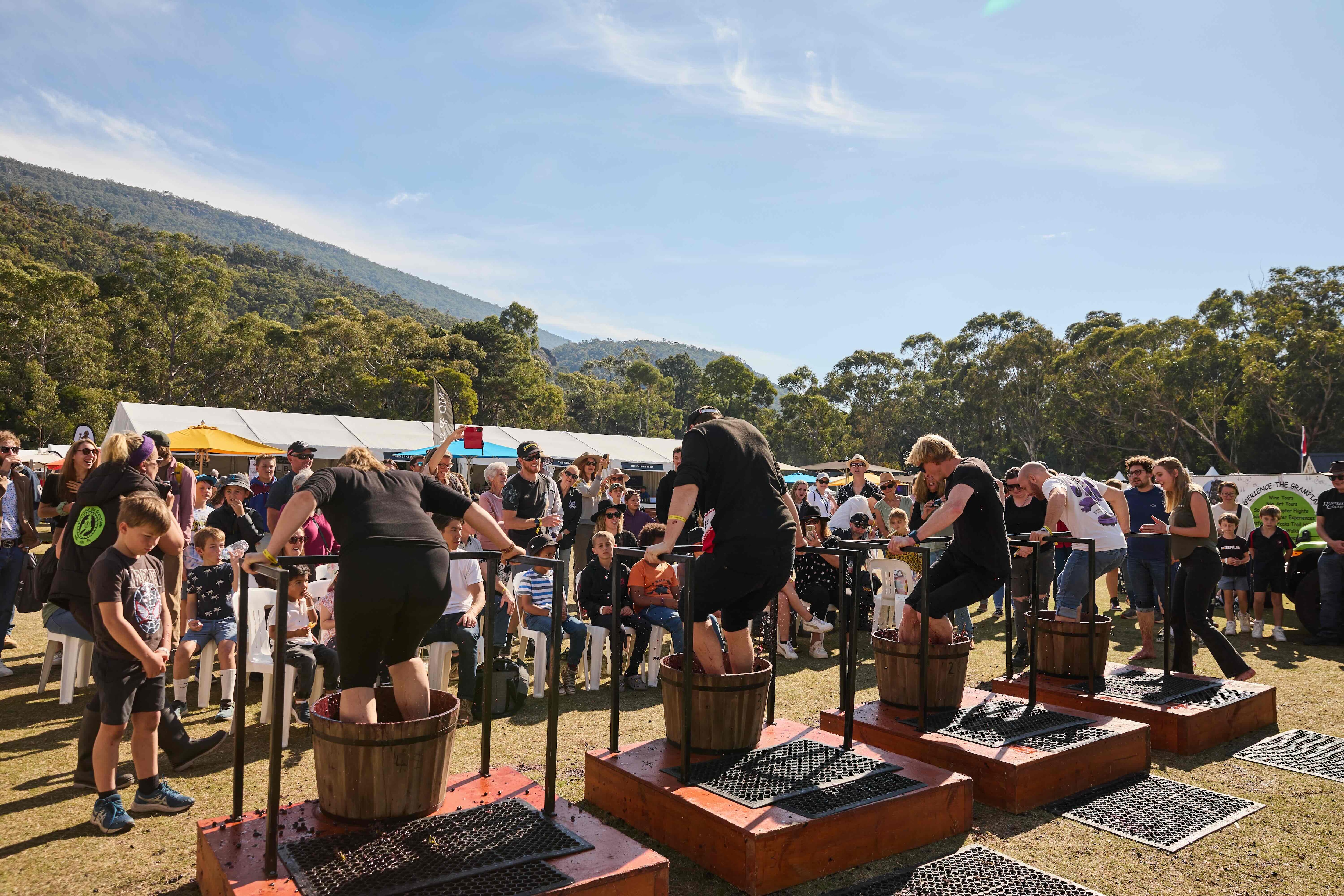 Halls Gap businesses embrace change after bushfire devastation