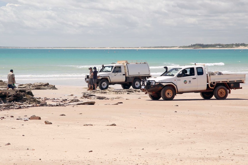Parks and Wildlife staff and Yawuru rangers assembling at the beach to try to remove the animal.