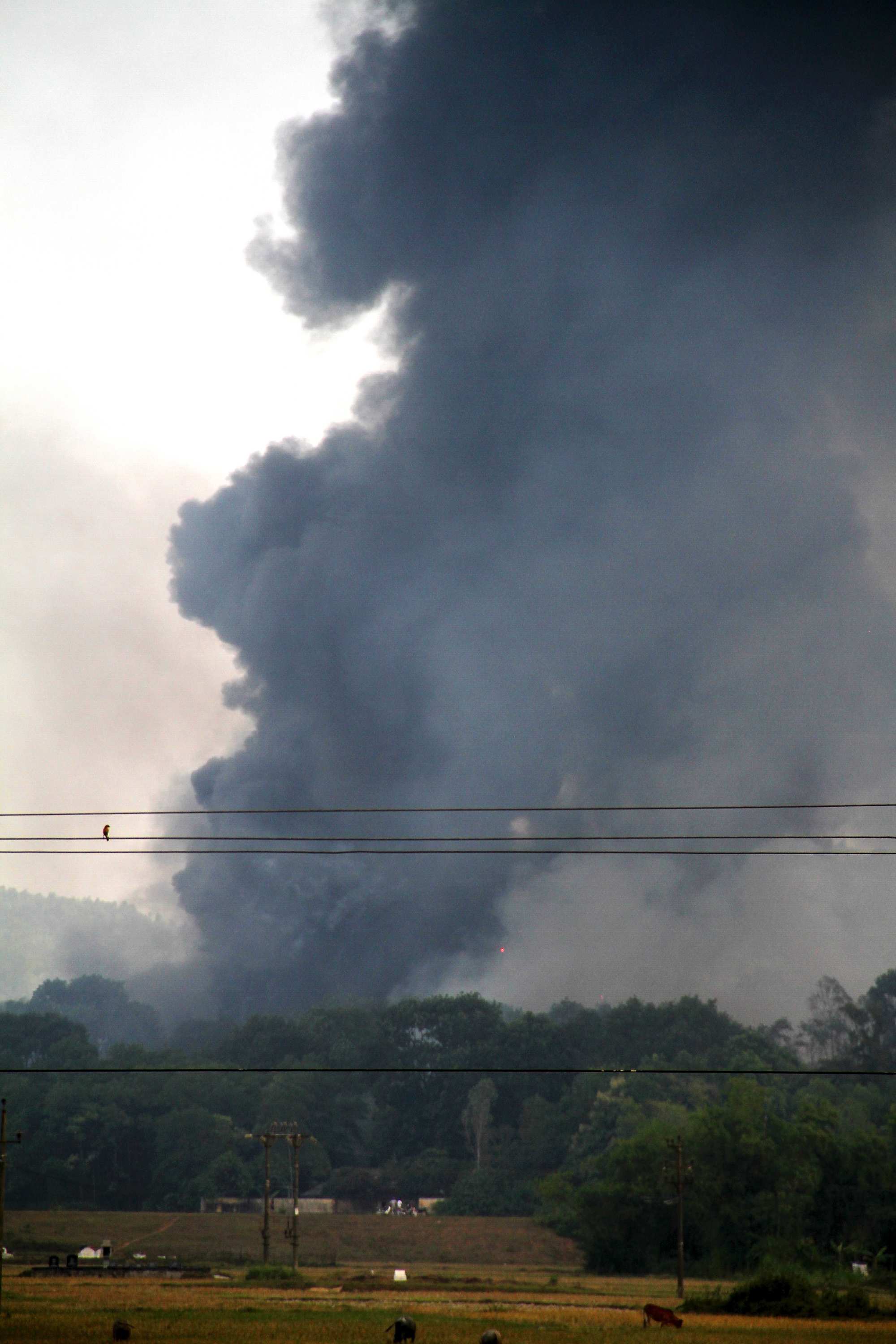 Deadly explosion at Vietnam firework factory - ABC News