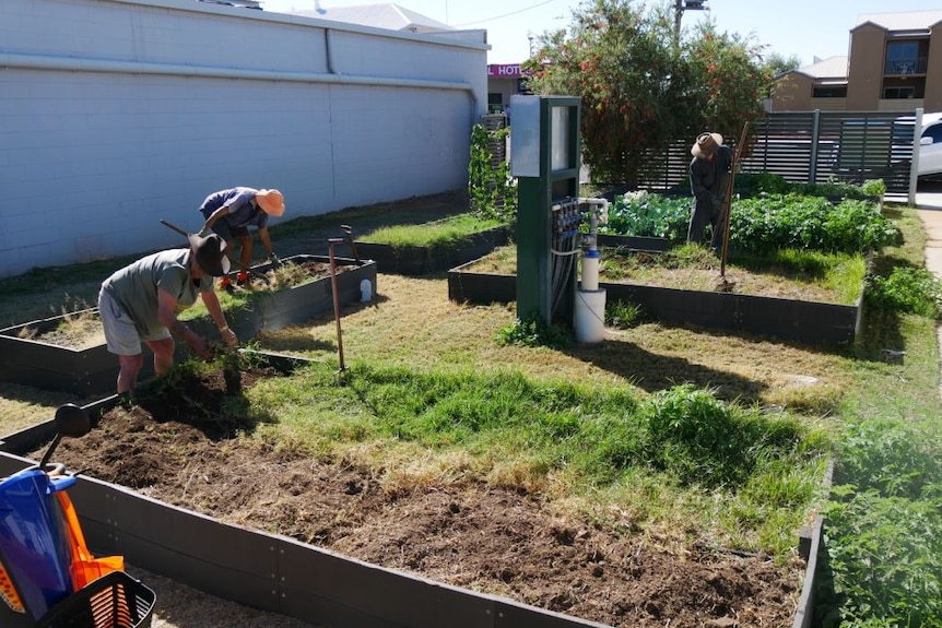 people working in garden beds