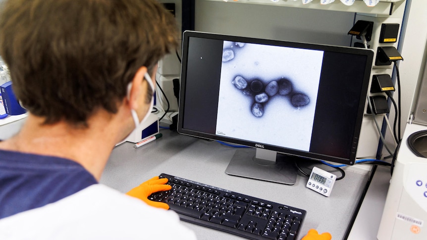 A person looks at a computer screen showing the monkeypox vaccine.