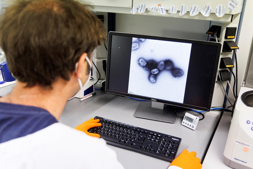 A person looks at a computer screen showing the monkeypox vaccine.