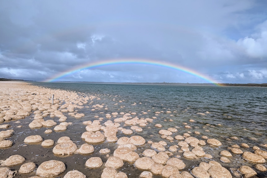 thrombolites in water with rainbow on horizon