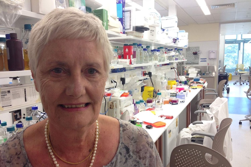 Queensland Distinguished Professor Judith Clements