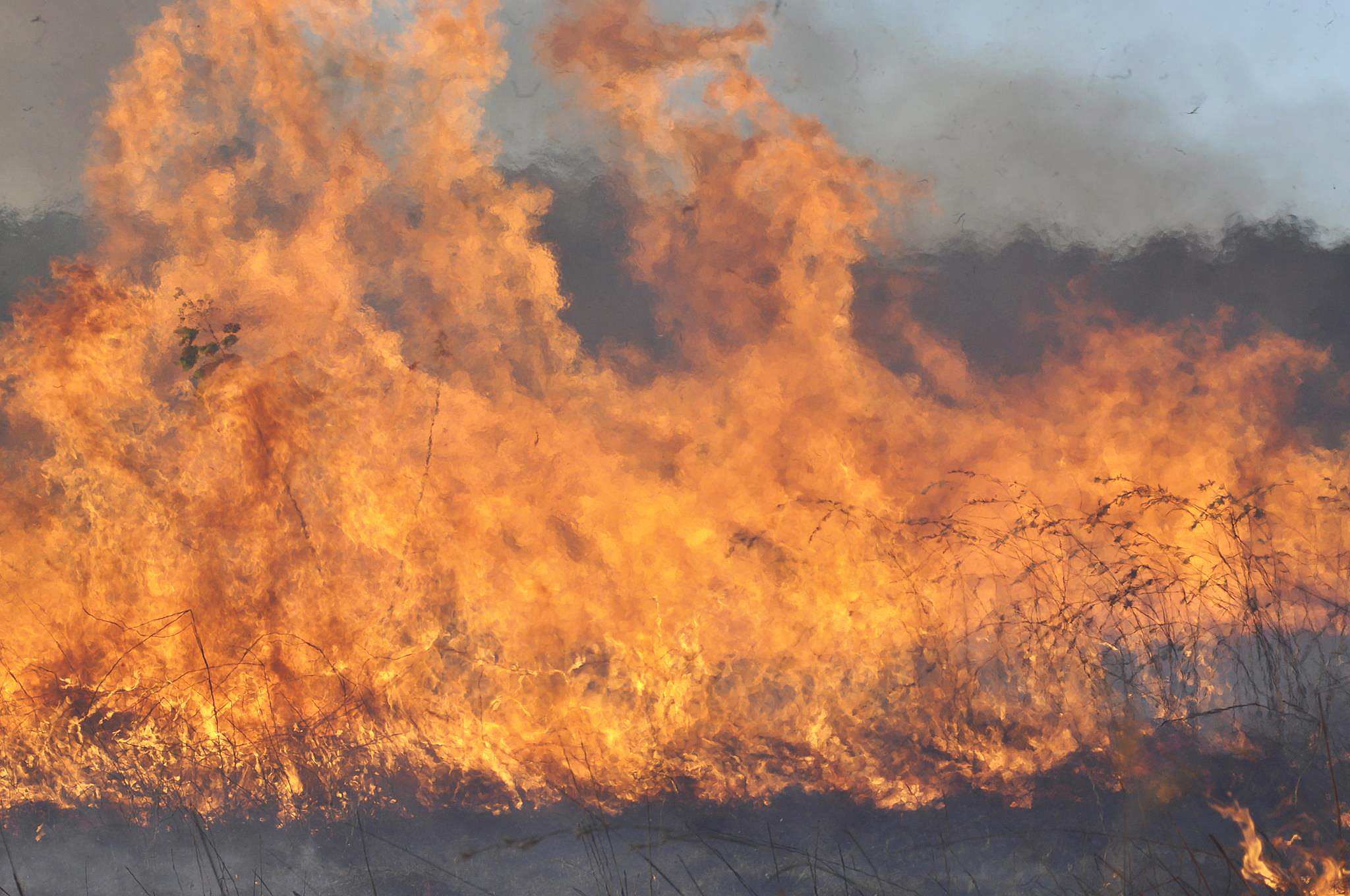 Fire danger season dates announced in South Australia as CFS warns of ...