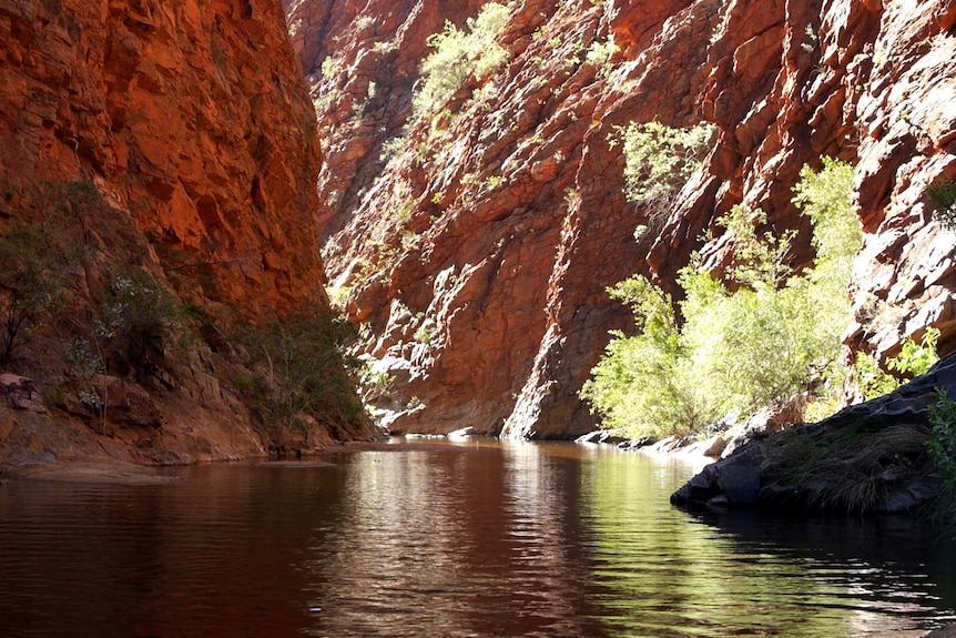 Red rocky walls with water in the middle. Pockets of green trees.